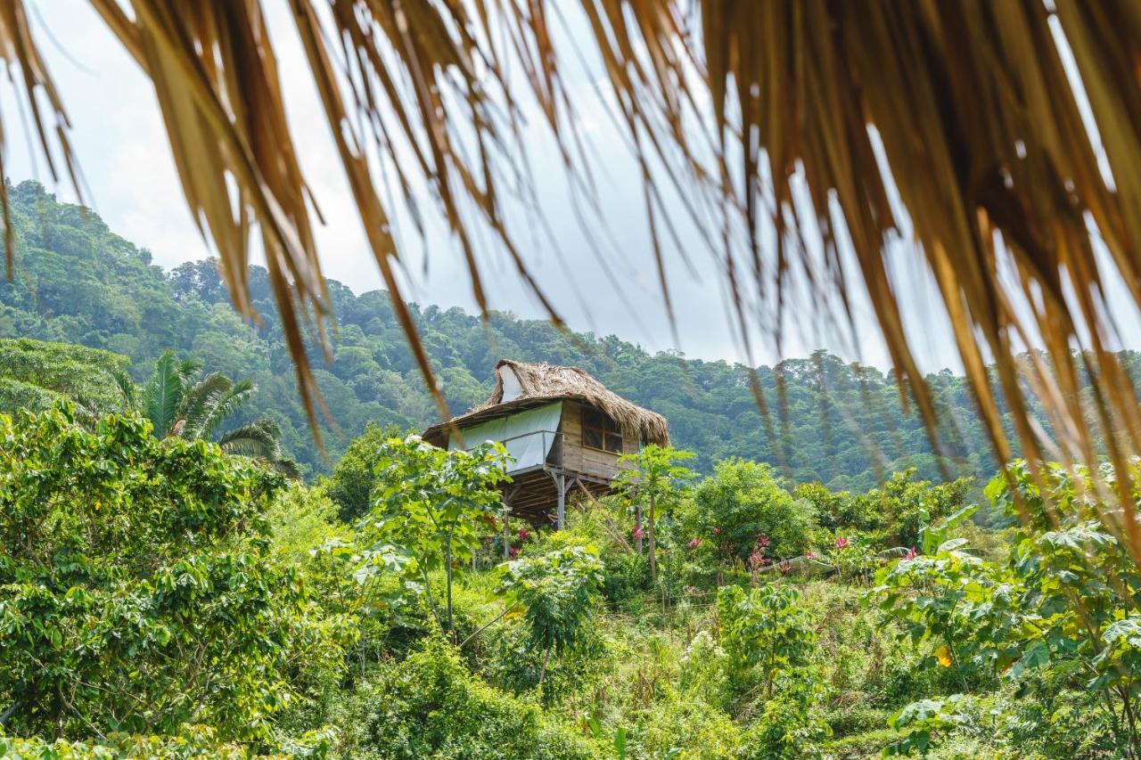 Taorayina Nature Lodge- Immersed In The Forest El Zaino Exterior foto
