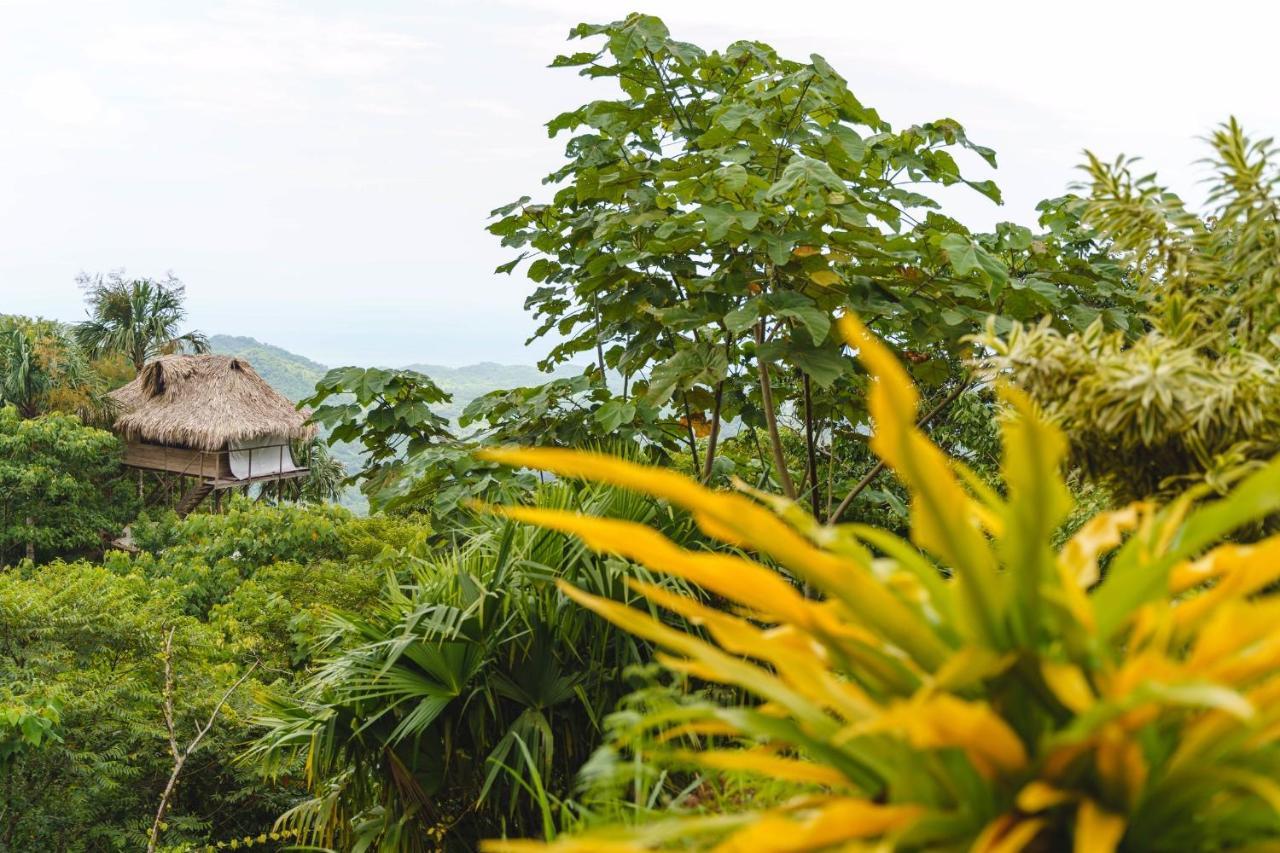 Taorayina Nature Lodge- Immersed In The Forest El Zaino Exterior foto